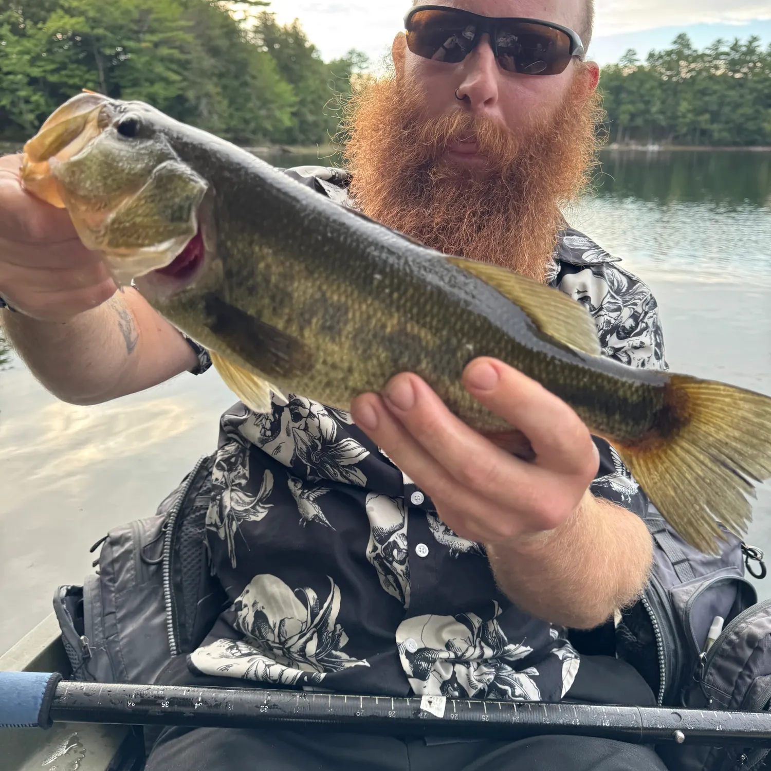 Largemouth bass caught on Fishbrain