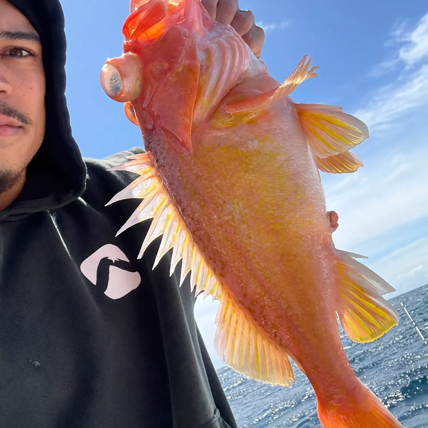 most liked catch image