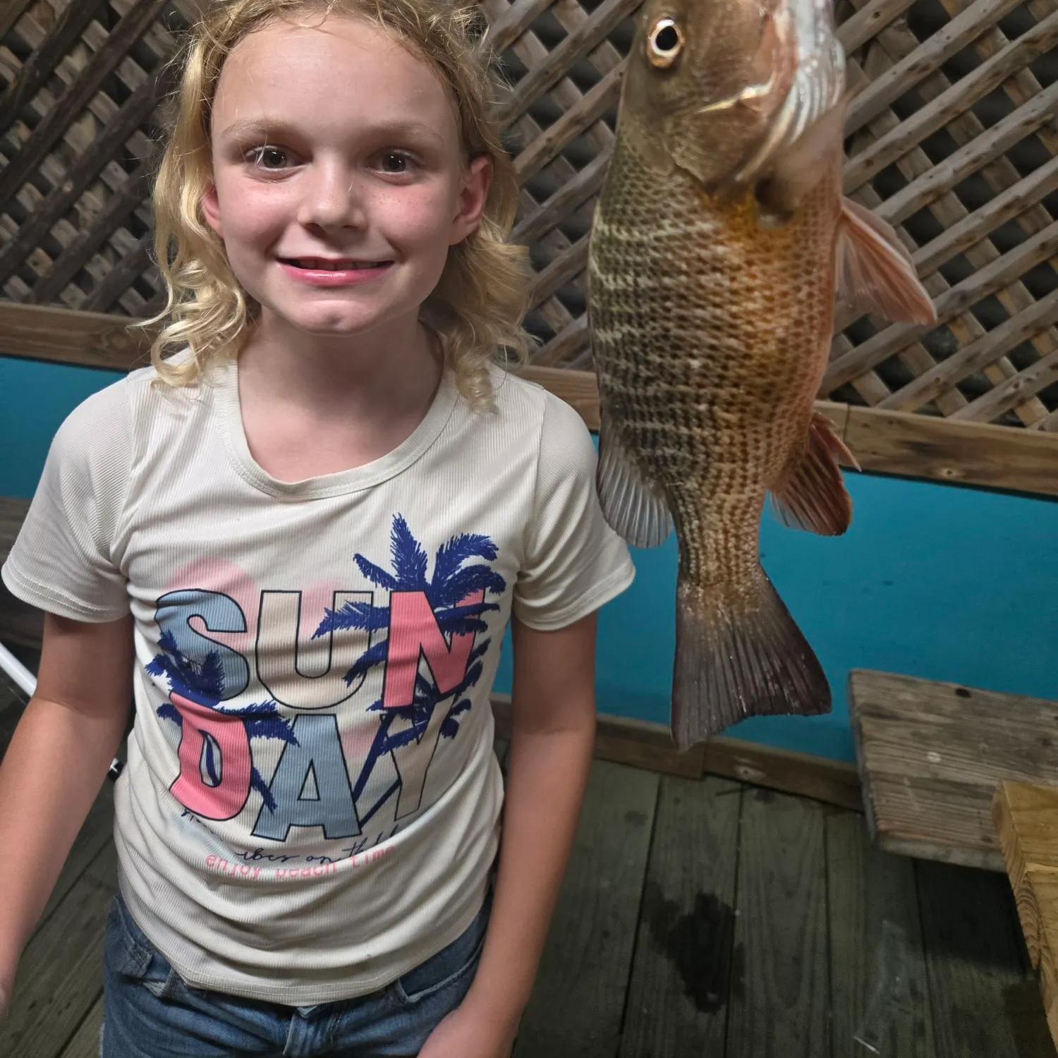 Mangrove snapper caught on Fishbrain