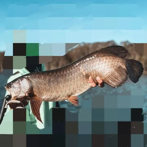 most liked catch image