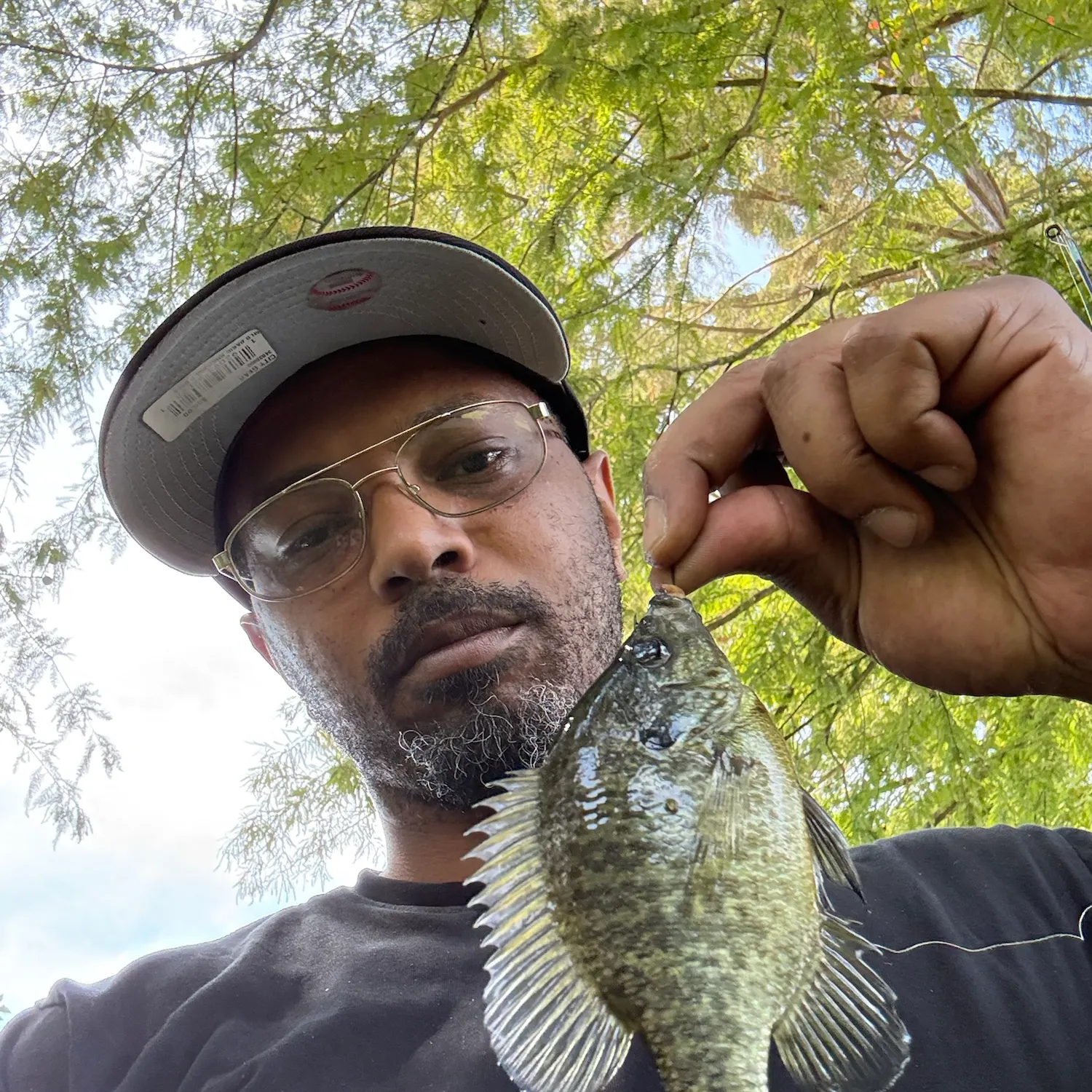 Redear sunfish caught on Fishbrain