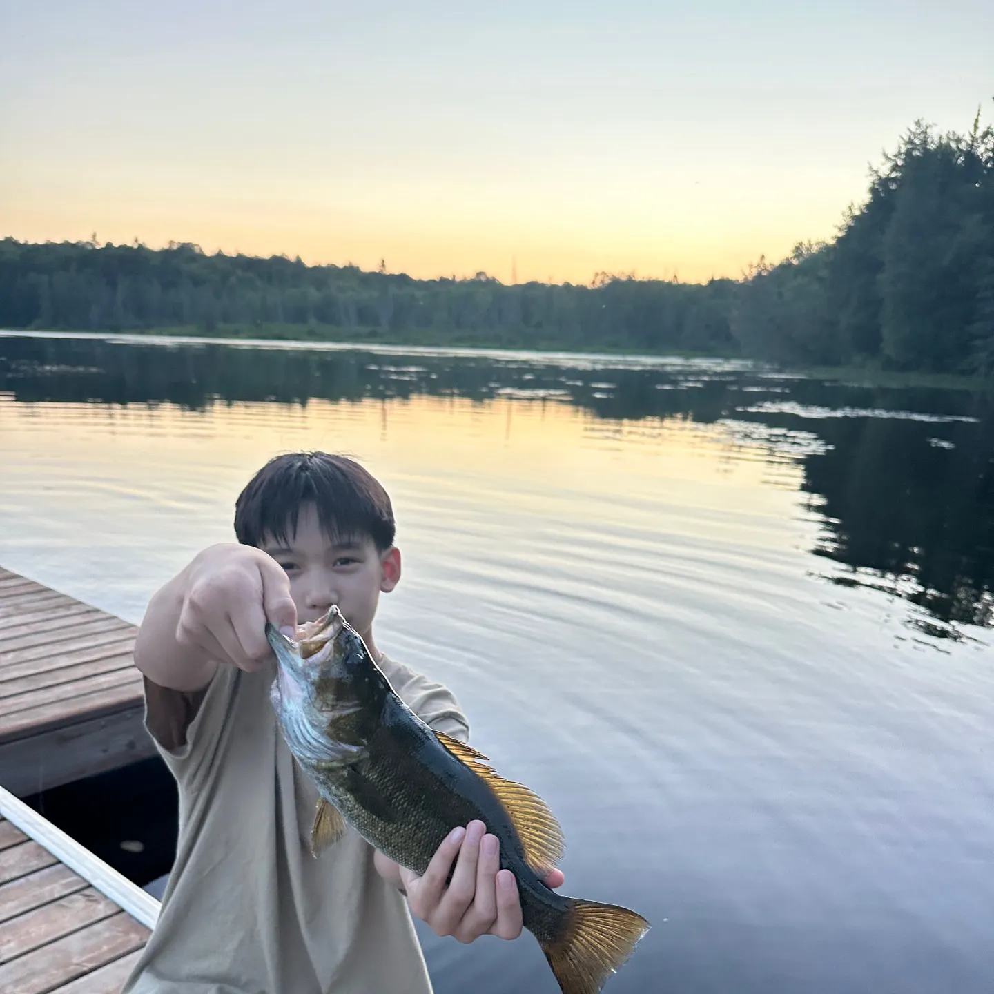 Smallmouth bass caught on Fishbrain