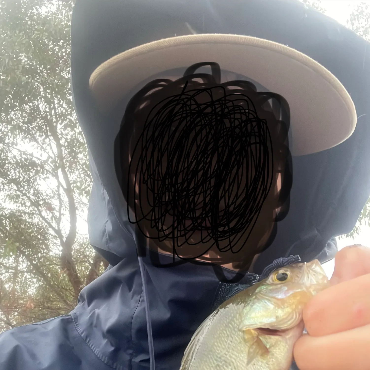 The most recent European perch catches on Fishbrain