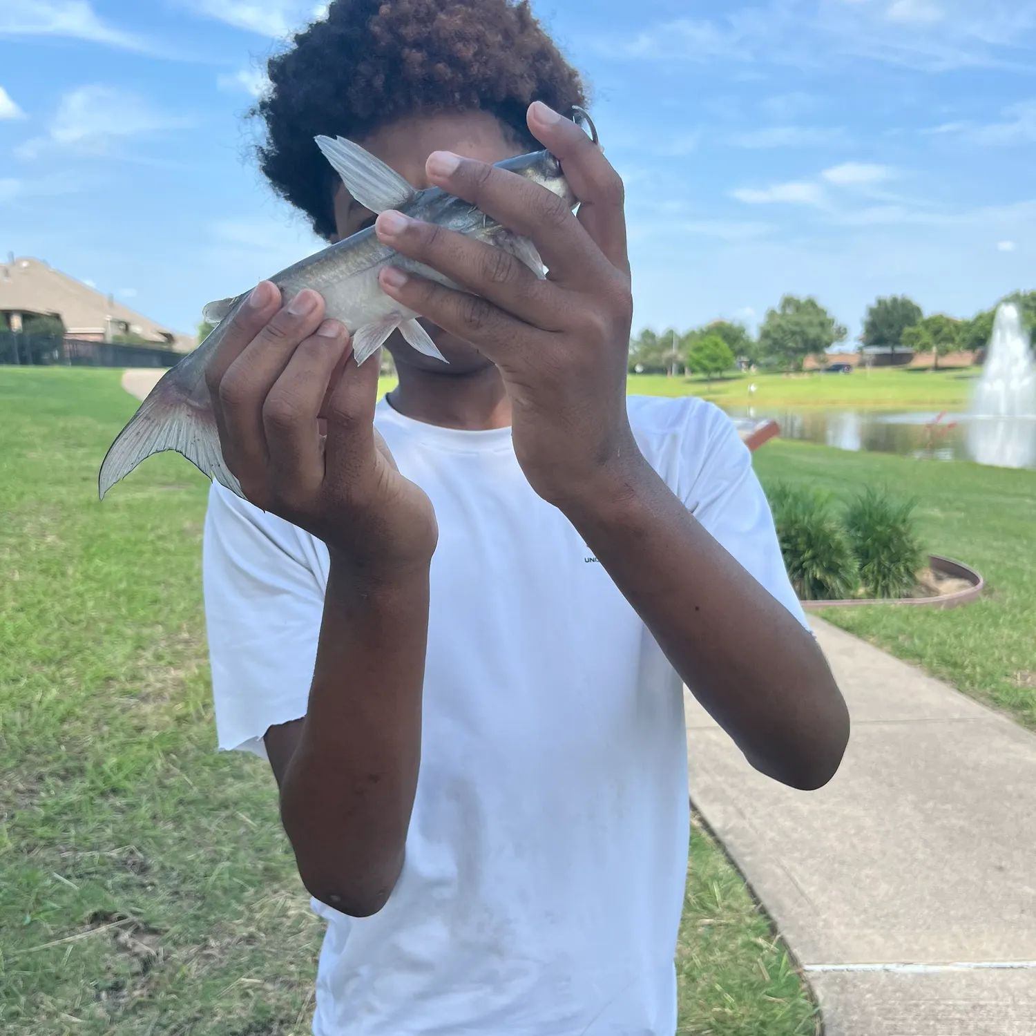 The most recent Coco sea catfish catches on Fishbrain