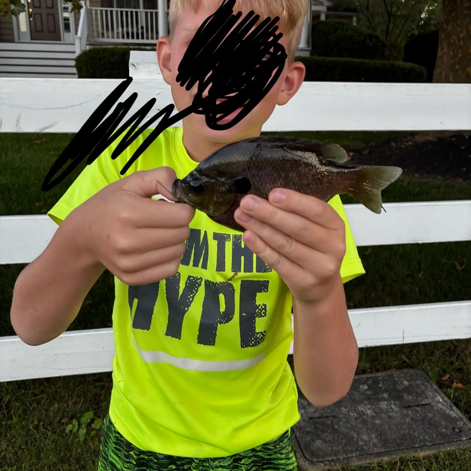 Bluegill caught on Fishbrain