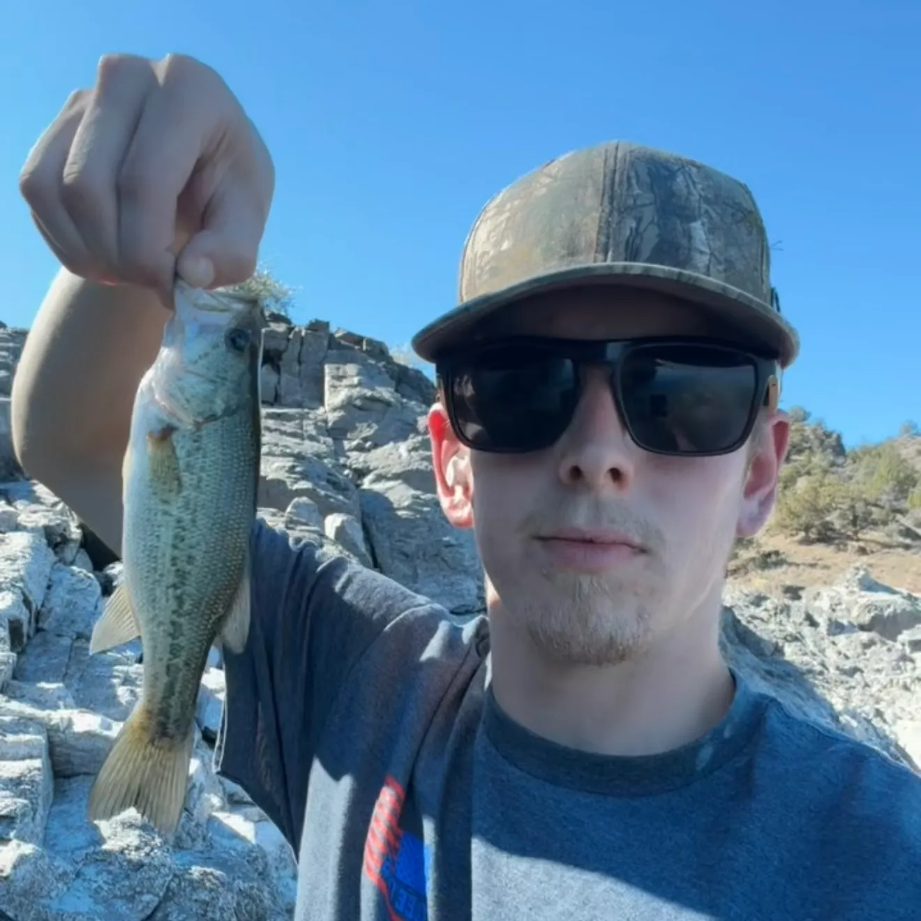 Smallmouth bass caught on Fishbrain