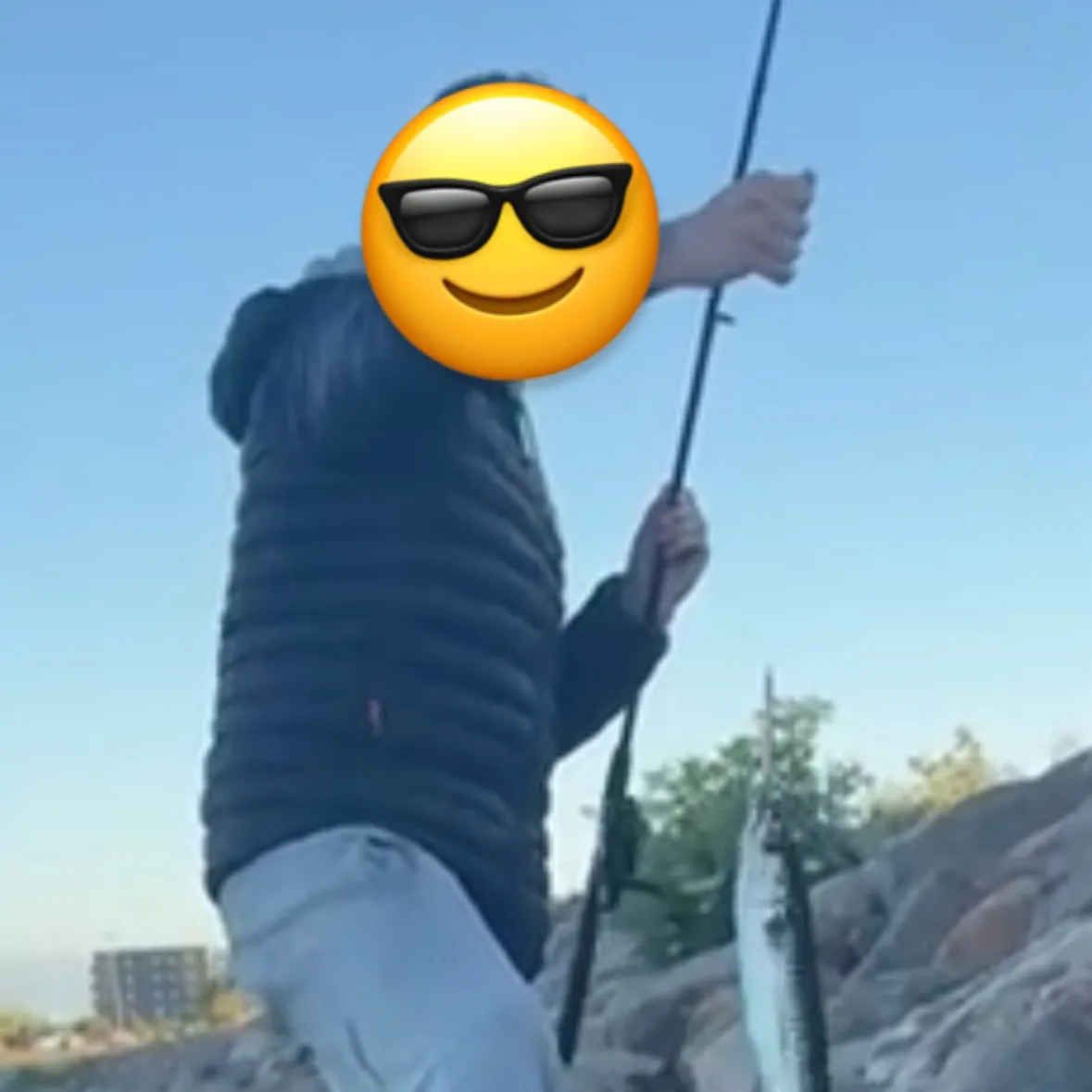 The most recent Atlantic mackerel catches on Fishbrain