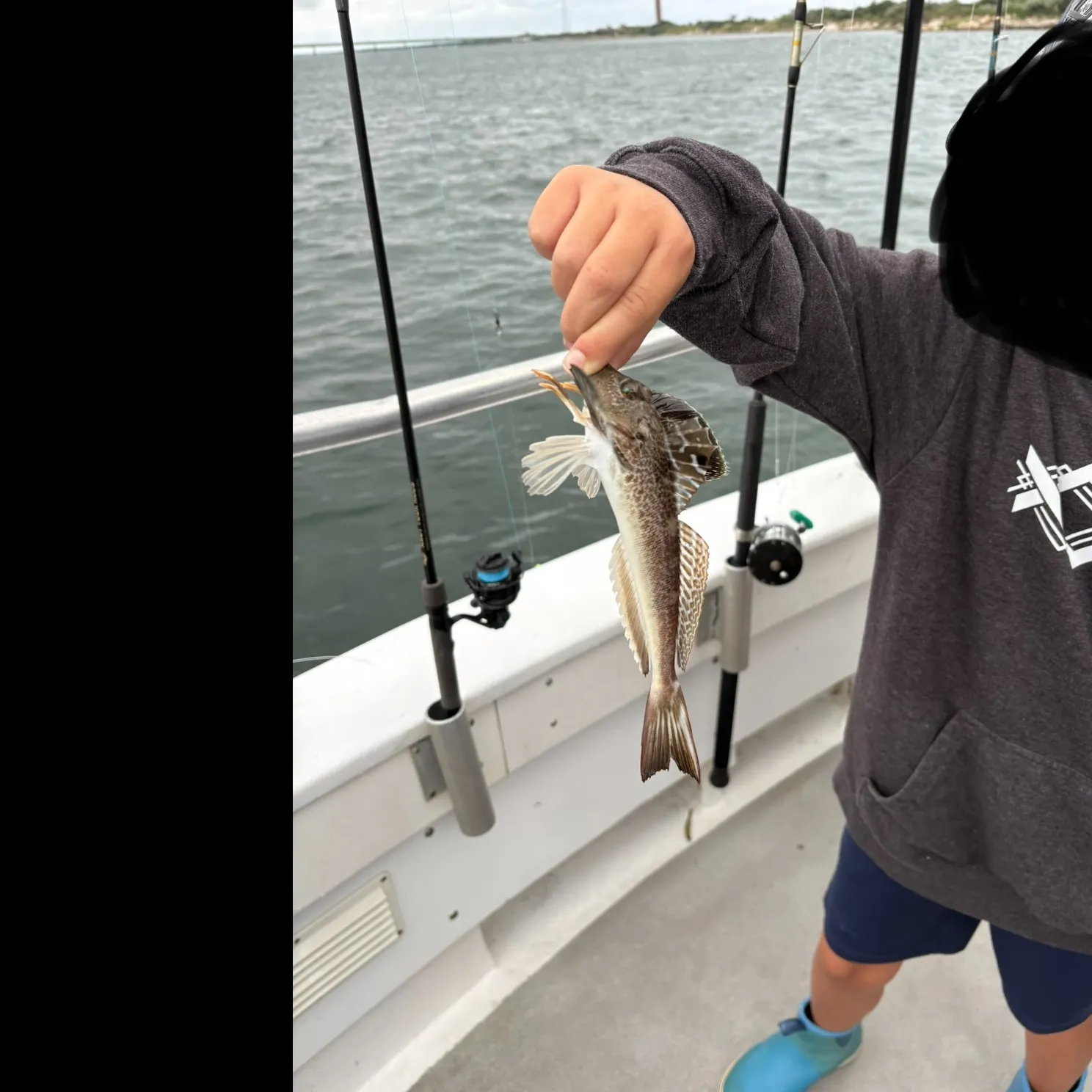 The most recent Lumptail searobin catches on Fishbrain
