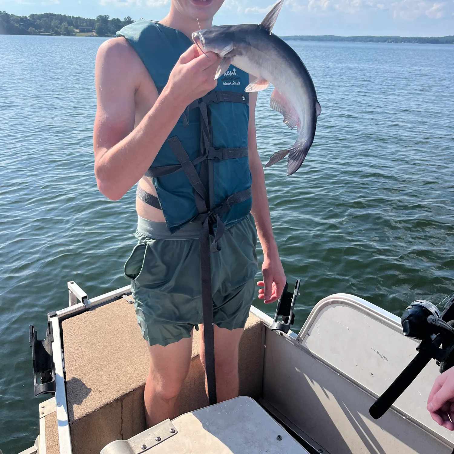 Blue catfish caught on Fishbrain