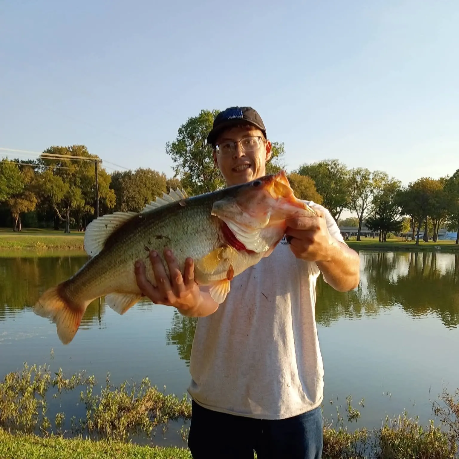 Largemouth bass caught on Fishbrain