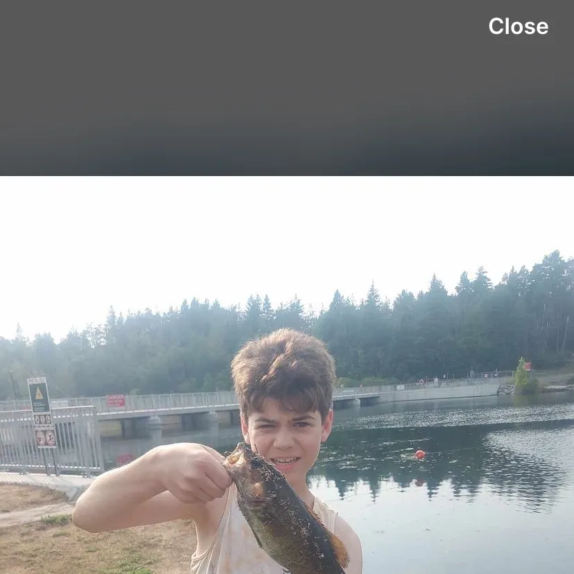 Smallmouth bass caught on Fishbrain