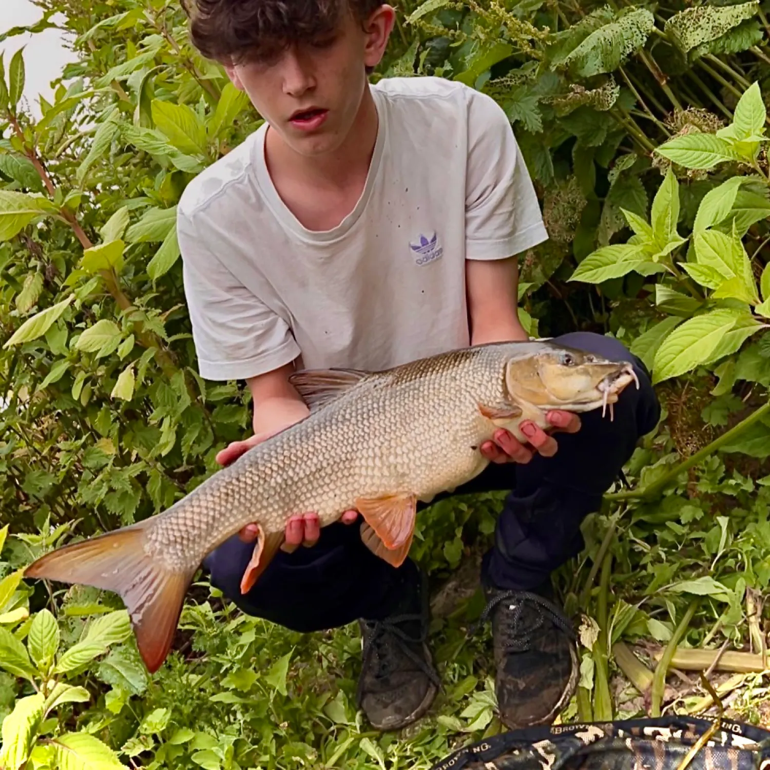 most liked catch image