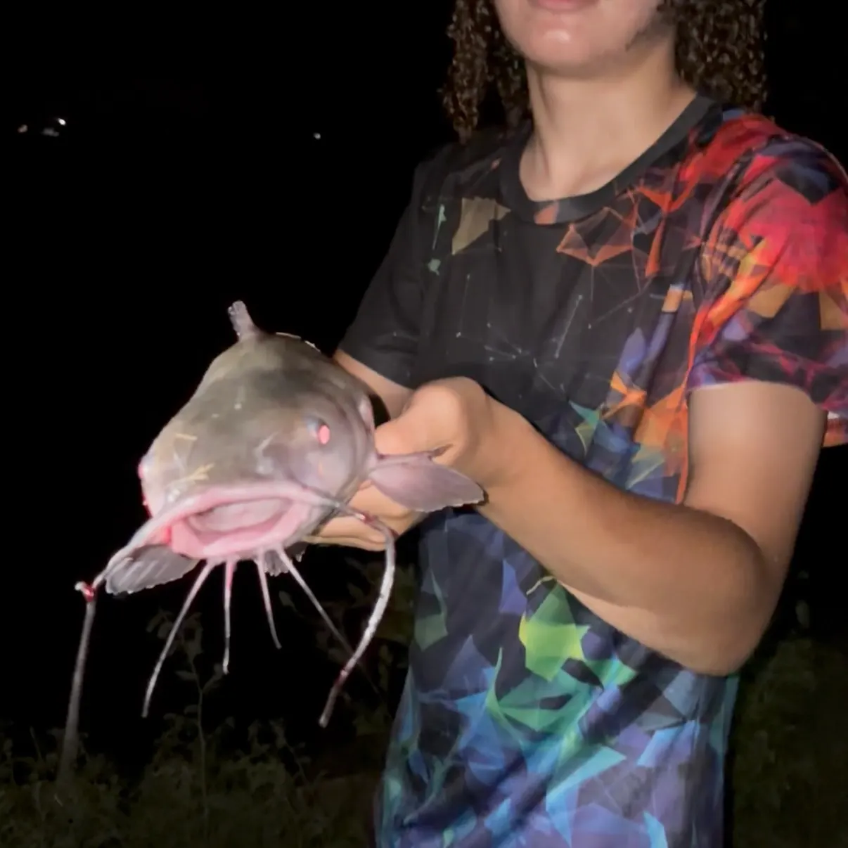 Channel catfish caught on Fishbrain