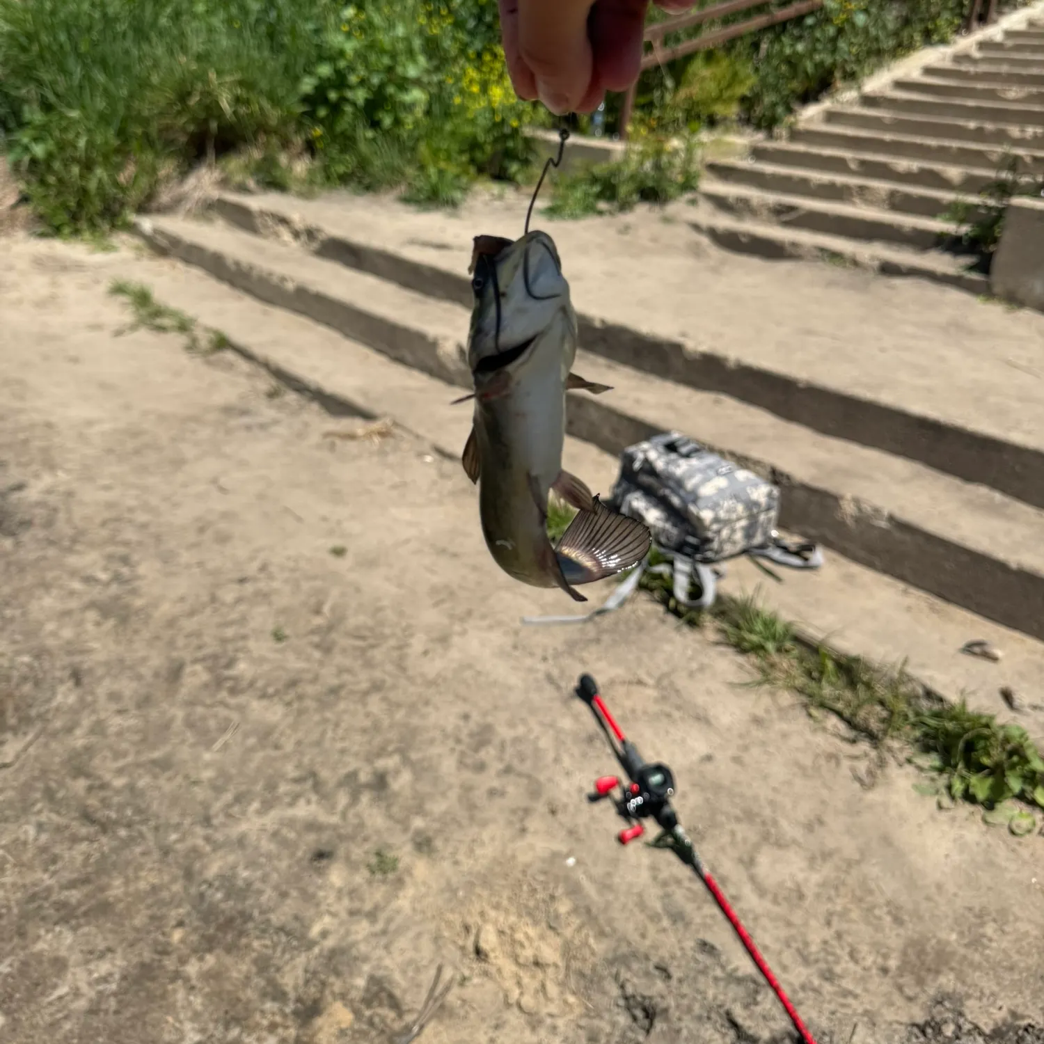 catch