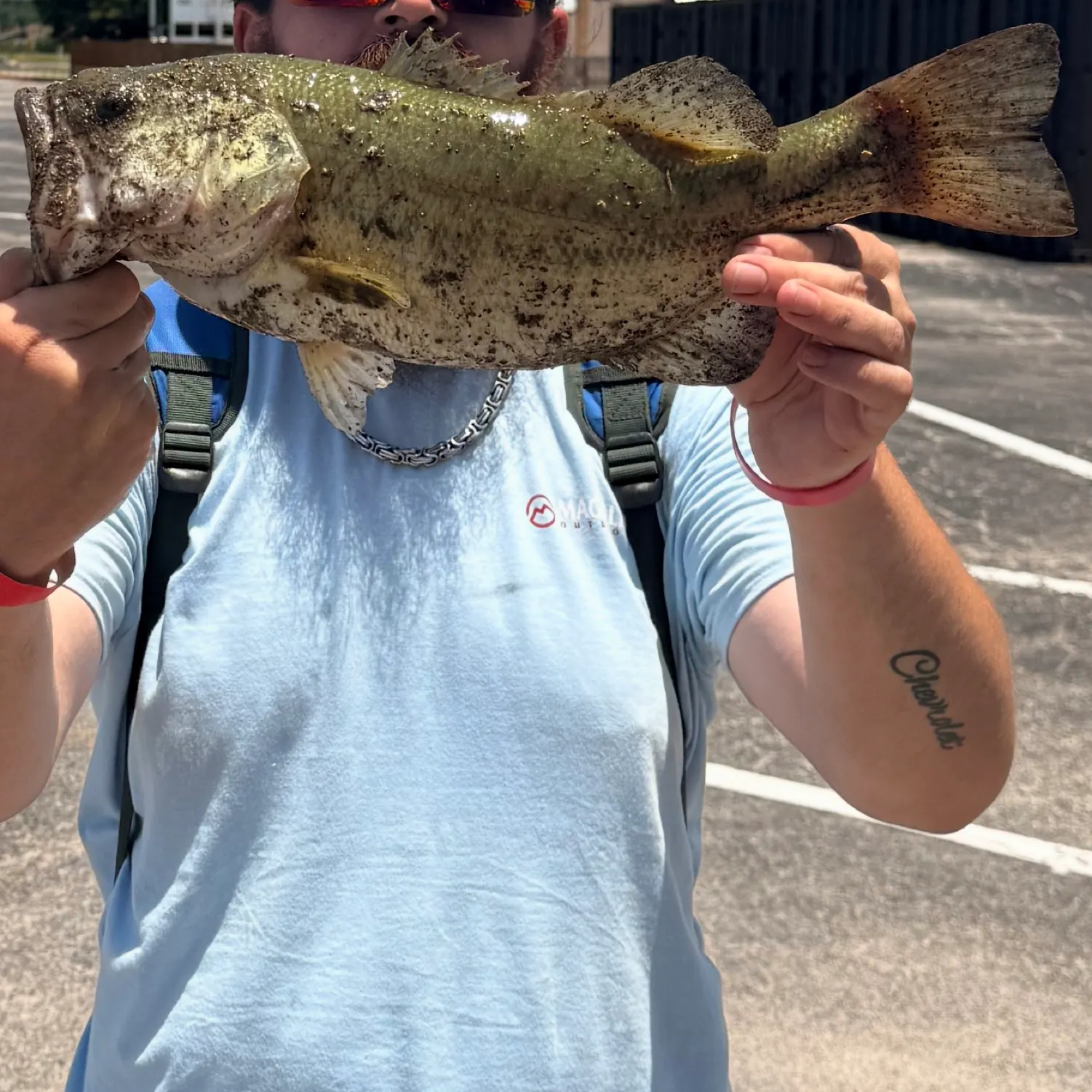 Largemouth bass caught on Fishbrain