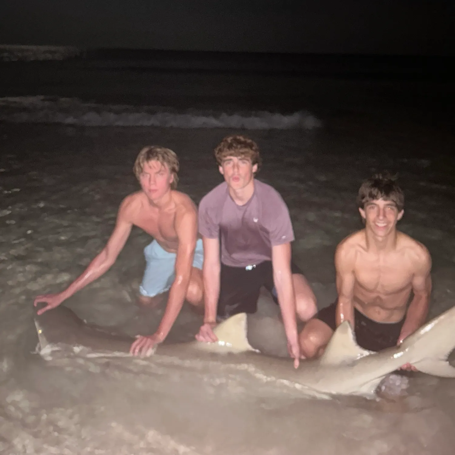 The most recent Lemon shark catches on Fishbrain