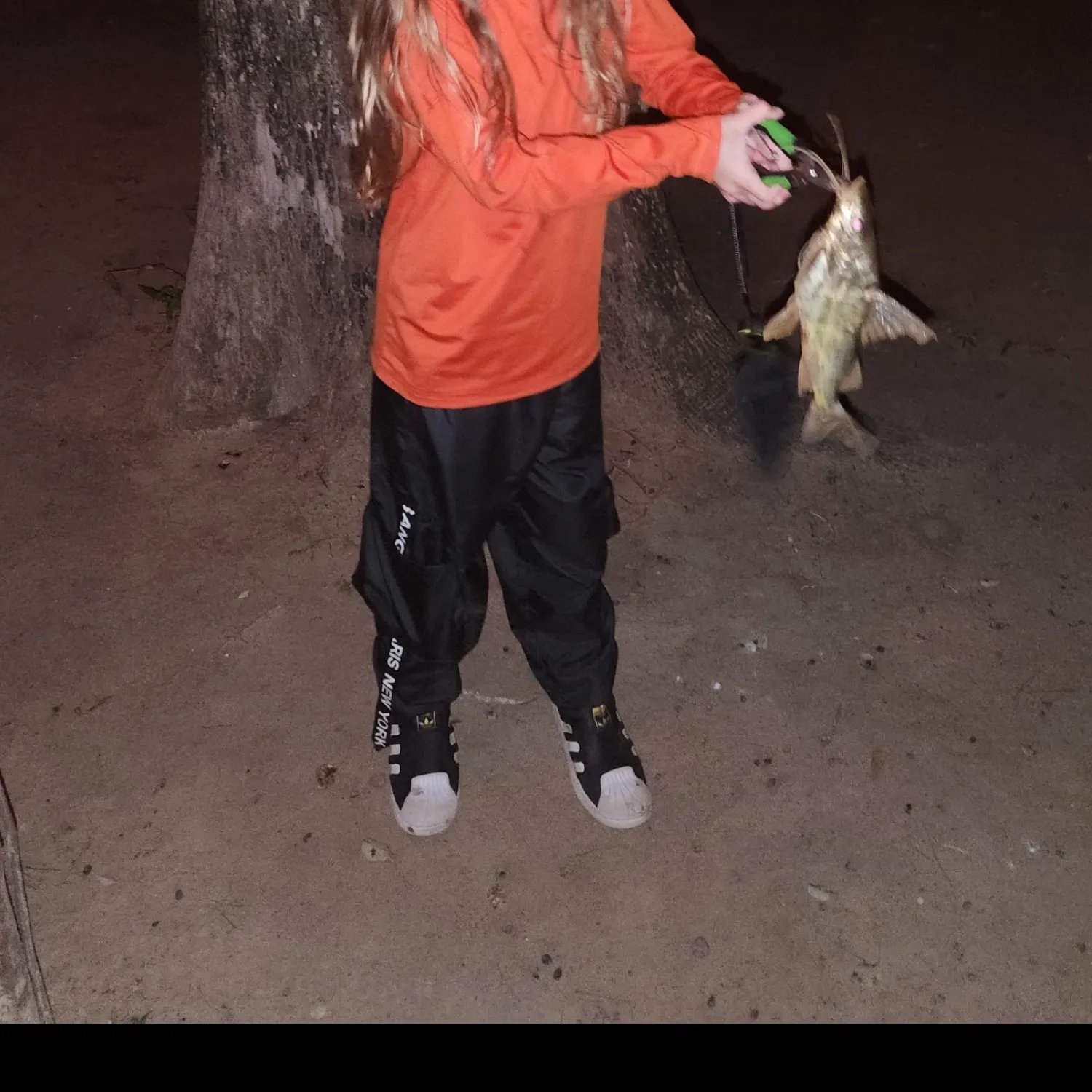 The most recent Spotted pimelodus catches on Fishbrain