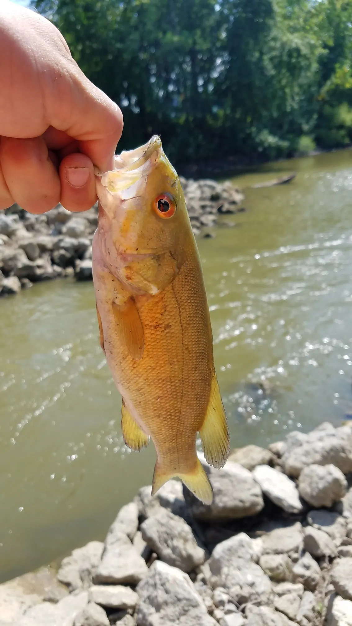 Post image from RiverRecon