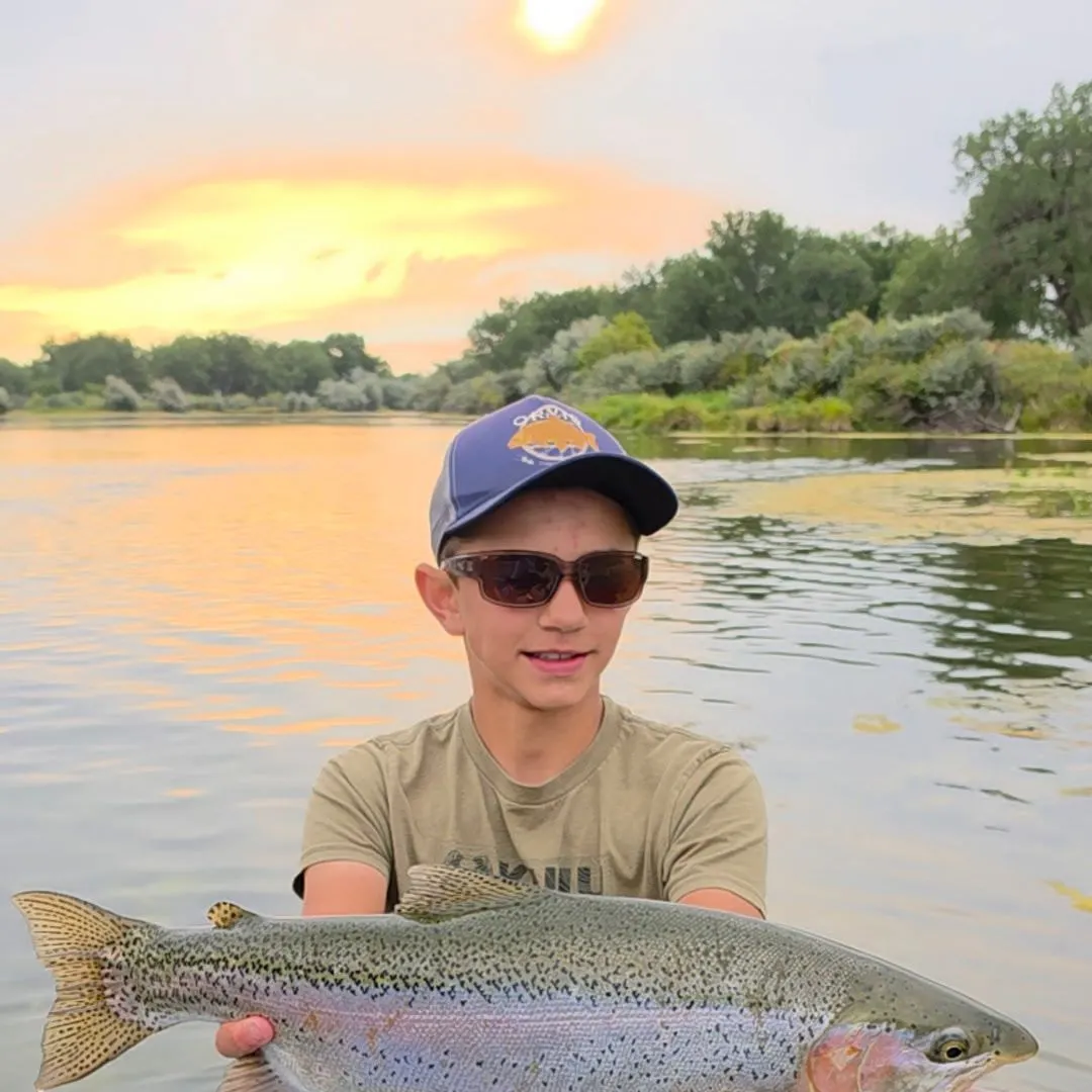 Rainbow trout caught on Fishbrain