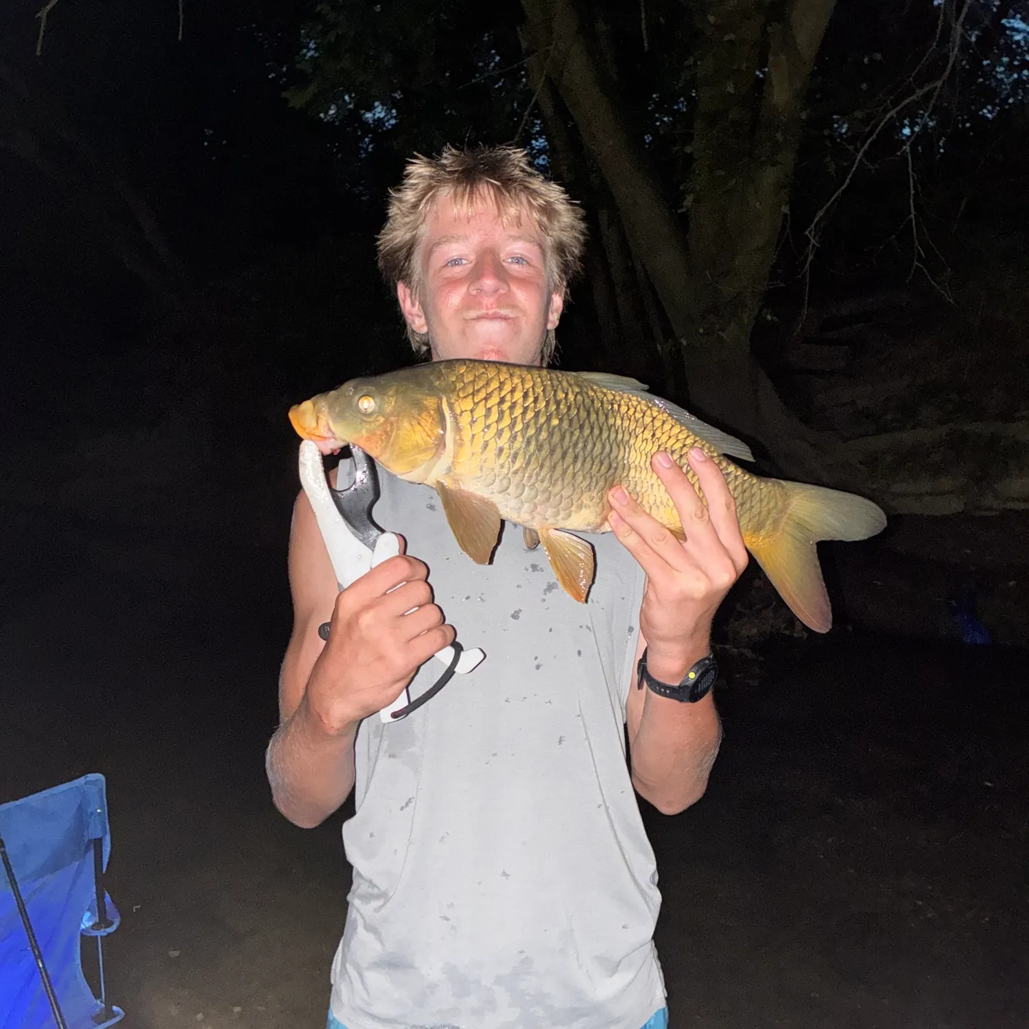 Common carp caught on Fishbrain