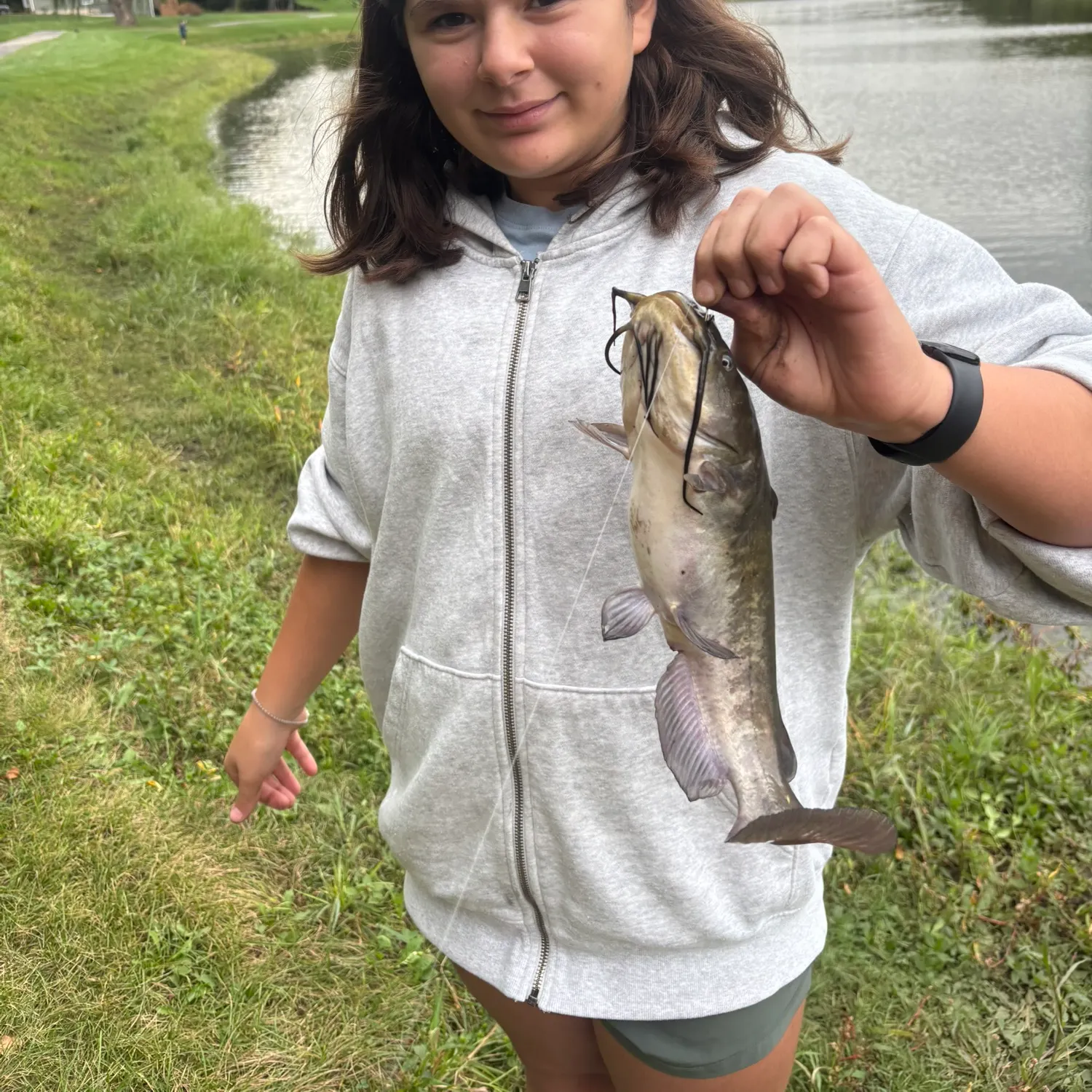 Yellow bullhead caught on Fishbrain