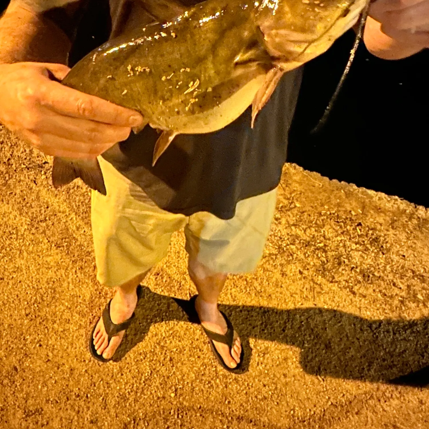 Channel catfish caught on Fishbrain