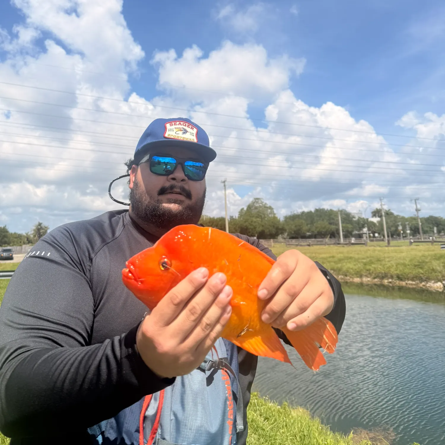 The most recent Midas cichlid catches on Fishbrain