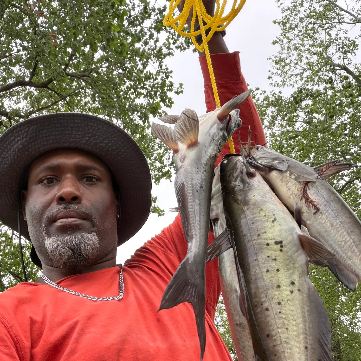 Channel catfish caught on Fishbrain