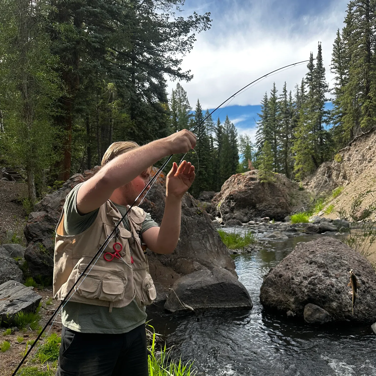 catch