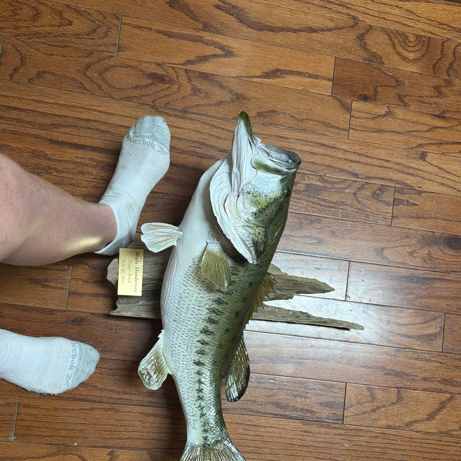 Fish caught on Fishbrain