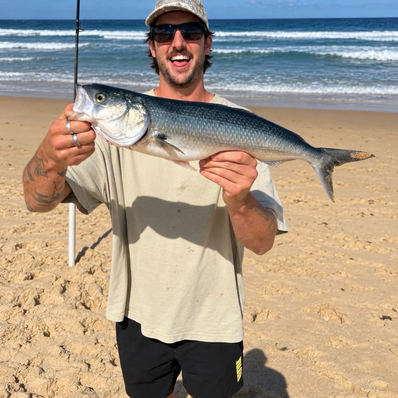 Eastern Australian salmon caught on Fishbrain
