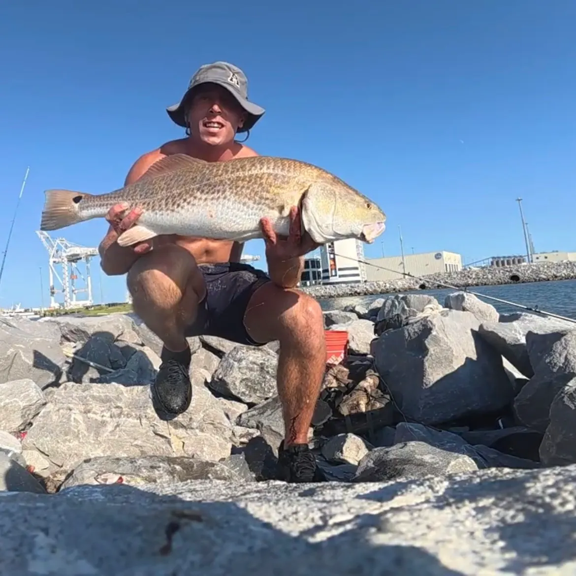Red drum caught on Fishbrain
