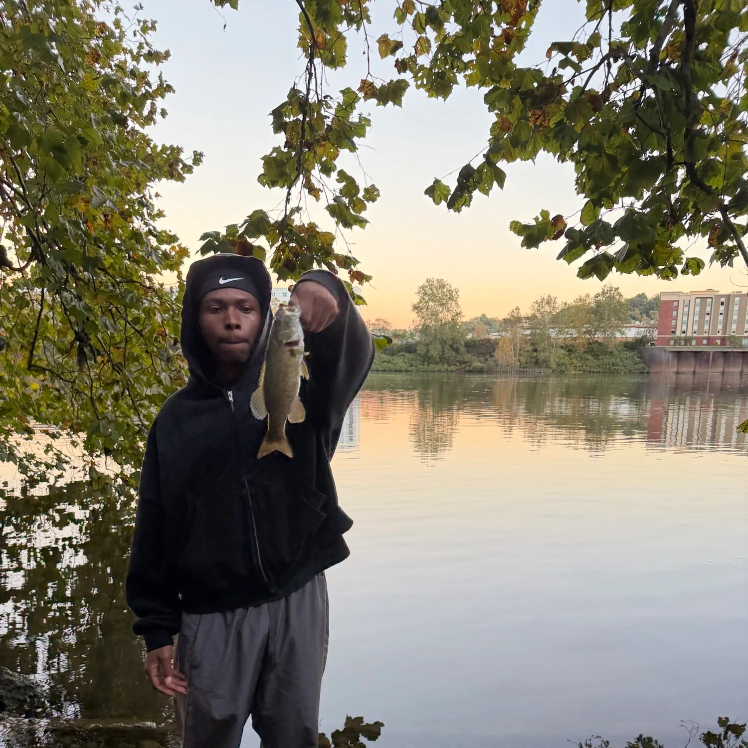 Smallmouth bass caught on Fishbrain
