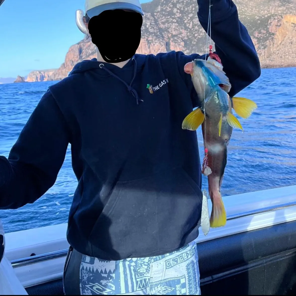 The most recent Blue-throated wrasse catches on Fishbrain