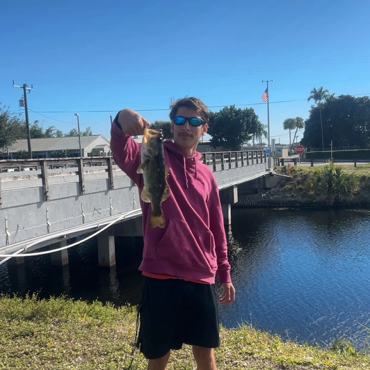 The most recent Largemouth bass catches on Fishbrain