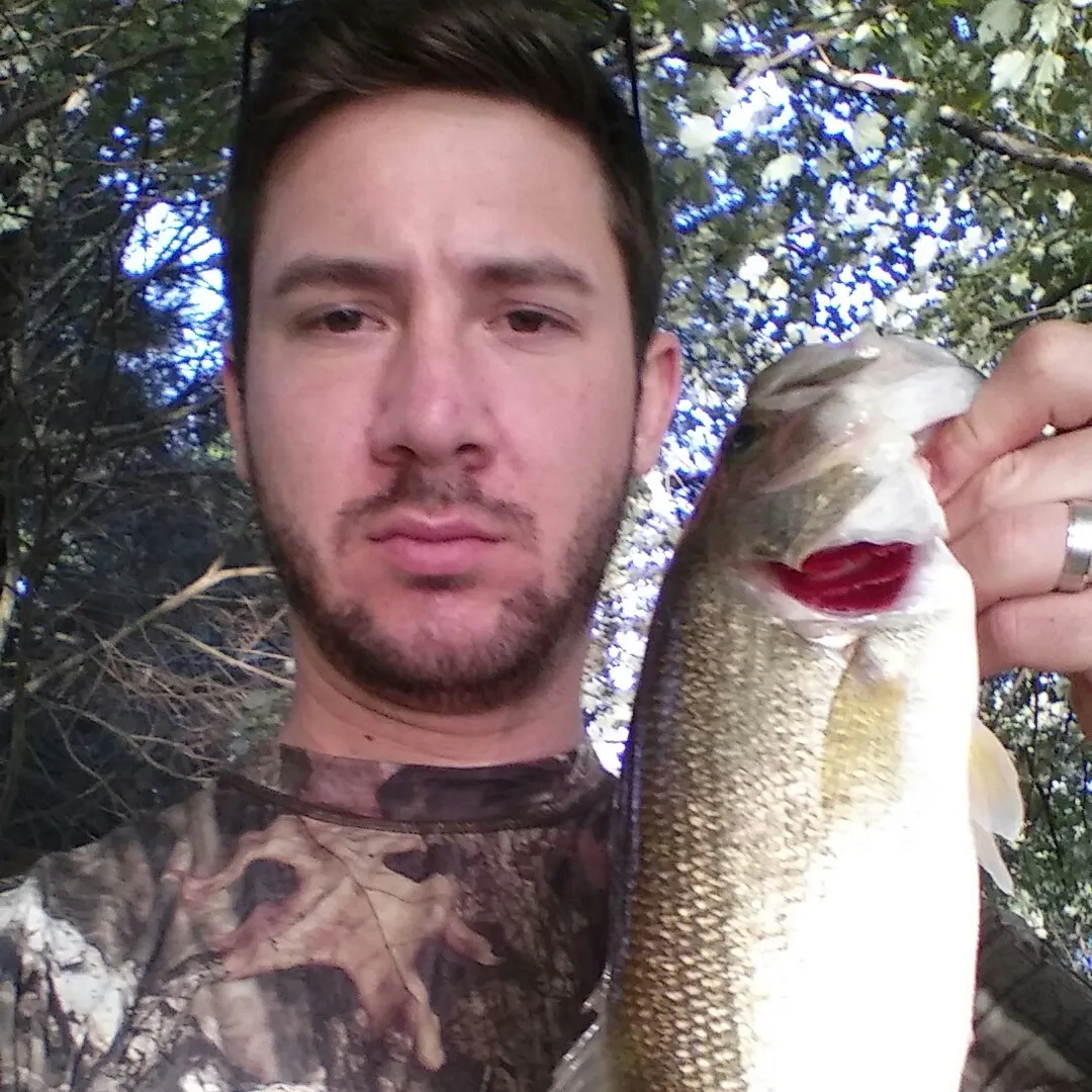 angler catch