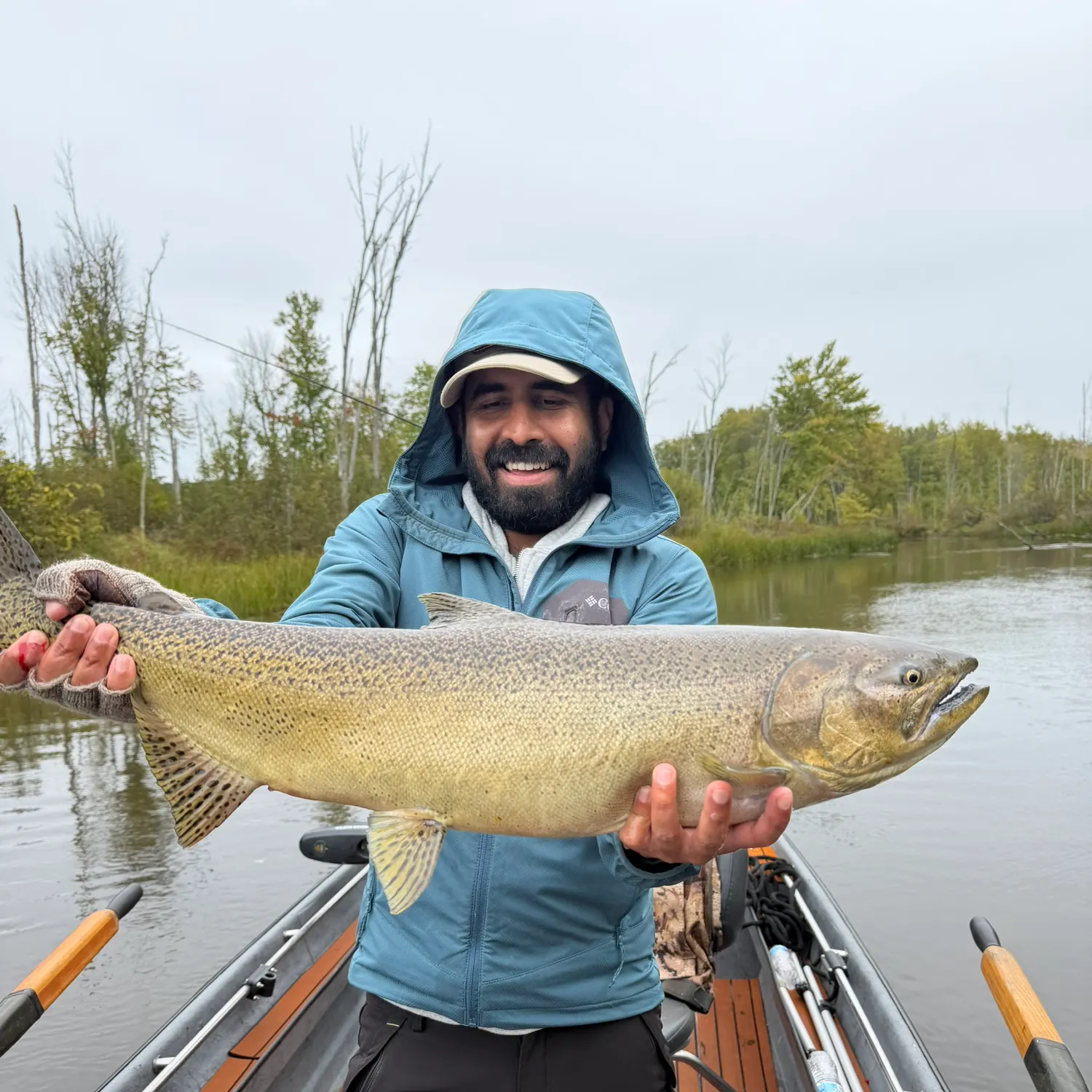 Chinook salmon caught on Fishbrain