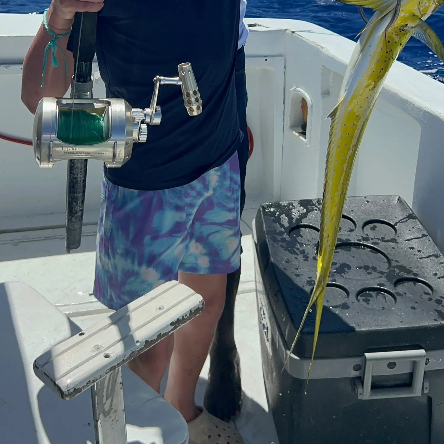 The most recent Common dolphinfish catches on Fishbrain