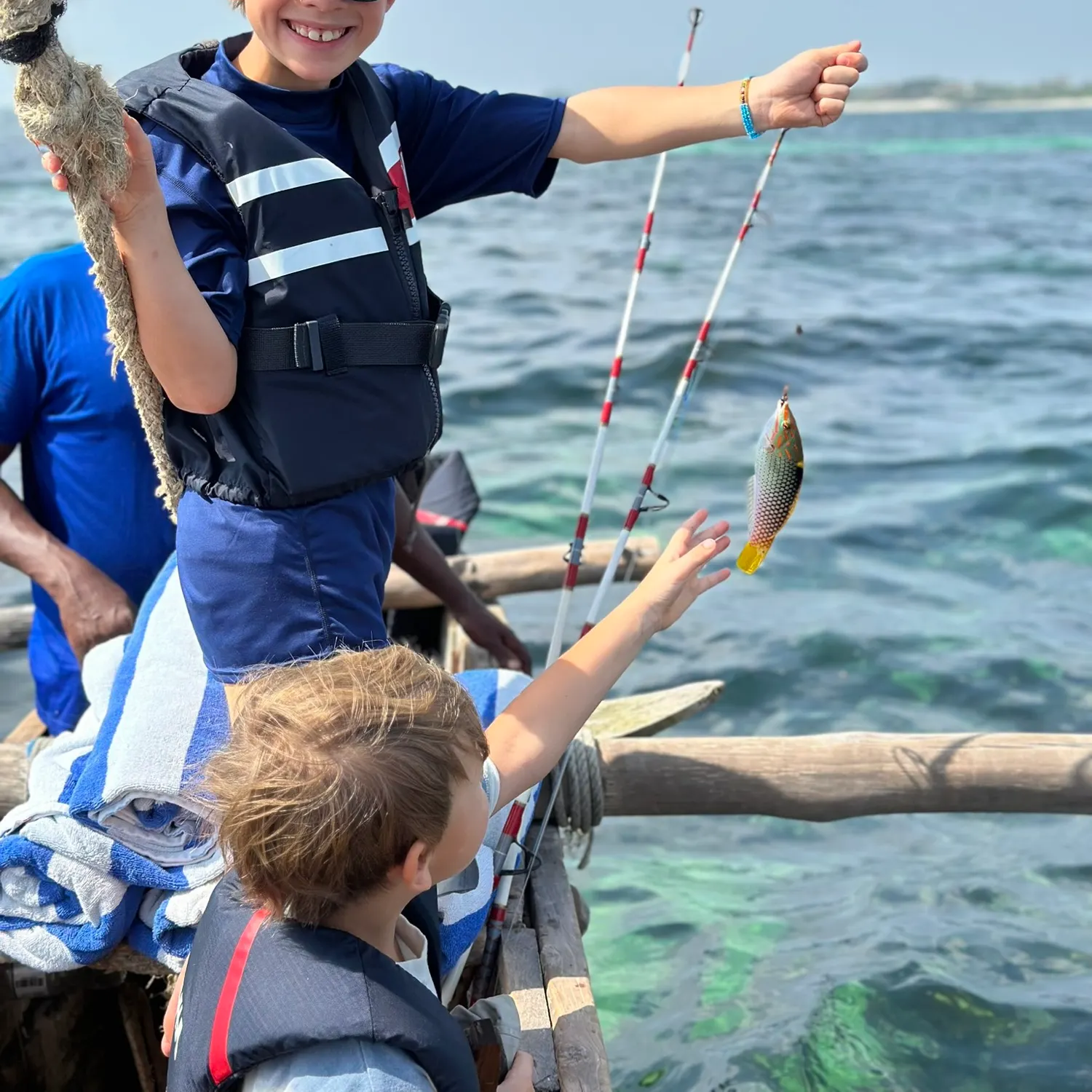 The most recent Common parrotfish catches on Fishbrain