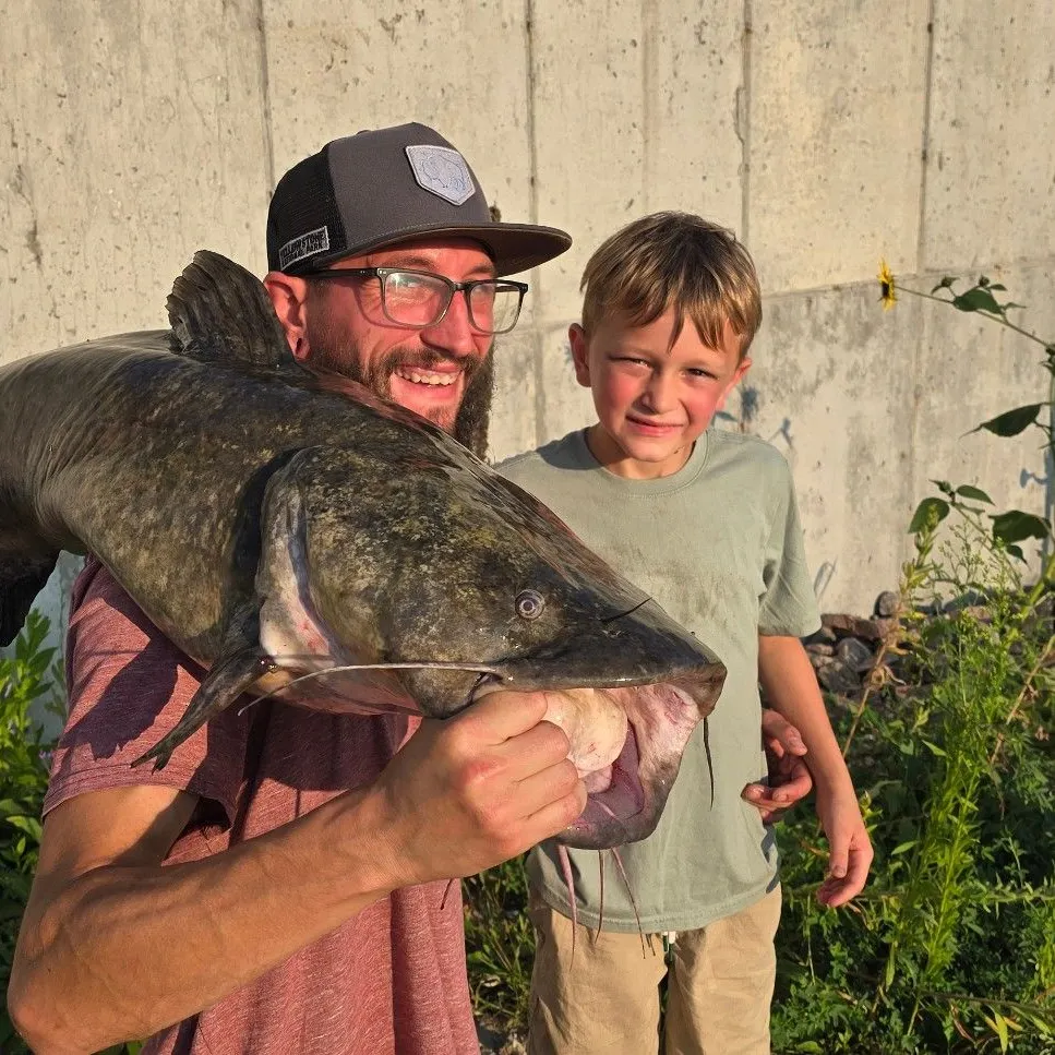 angler catch