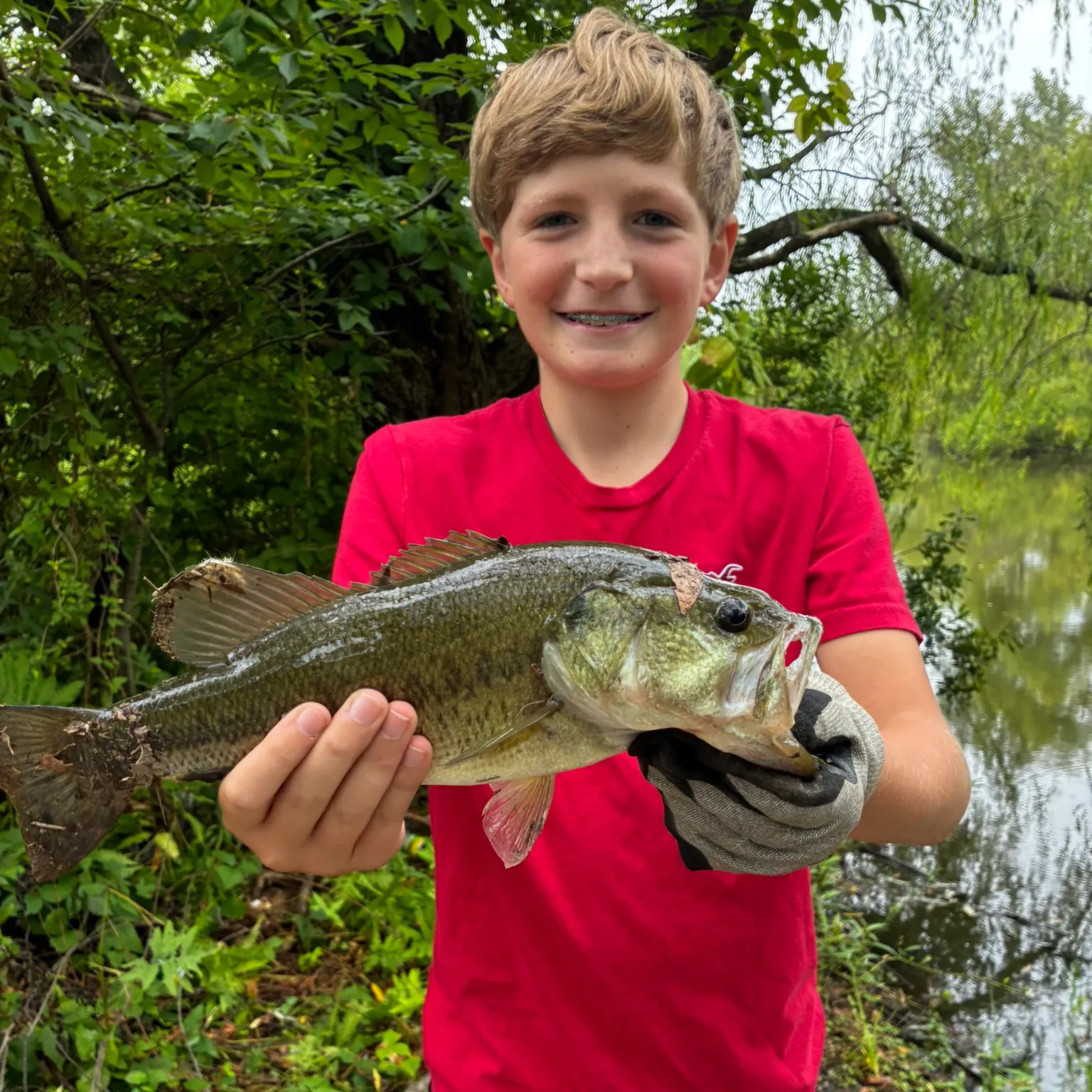 The most recent Largemouth bass catches on Fishbrain