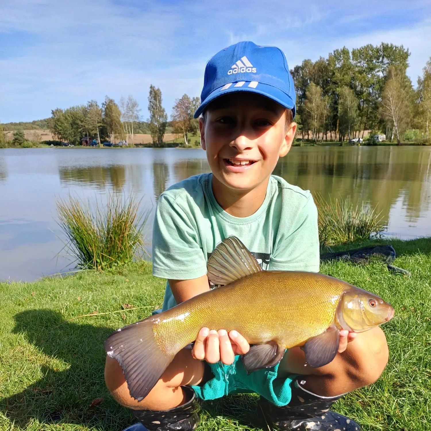 The most recent Tench catches on Fishbrain