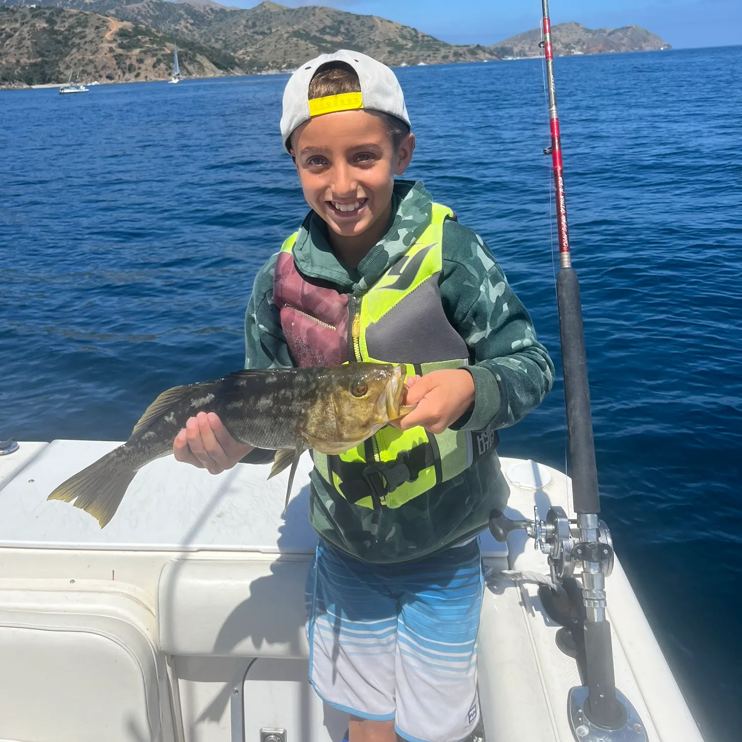 The most recent Kelp bass catches on Fishbrain