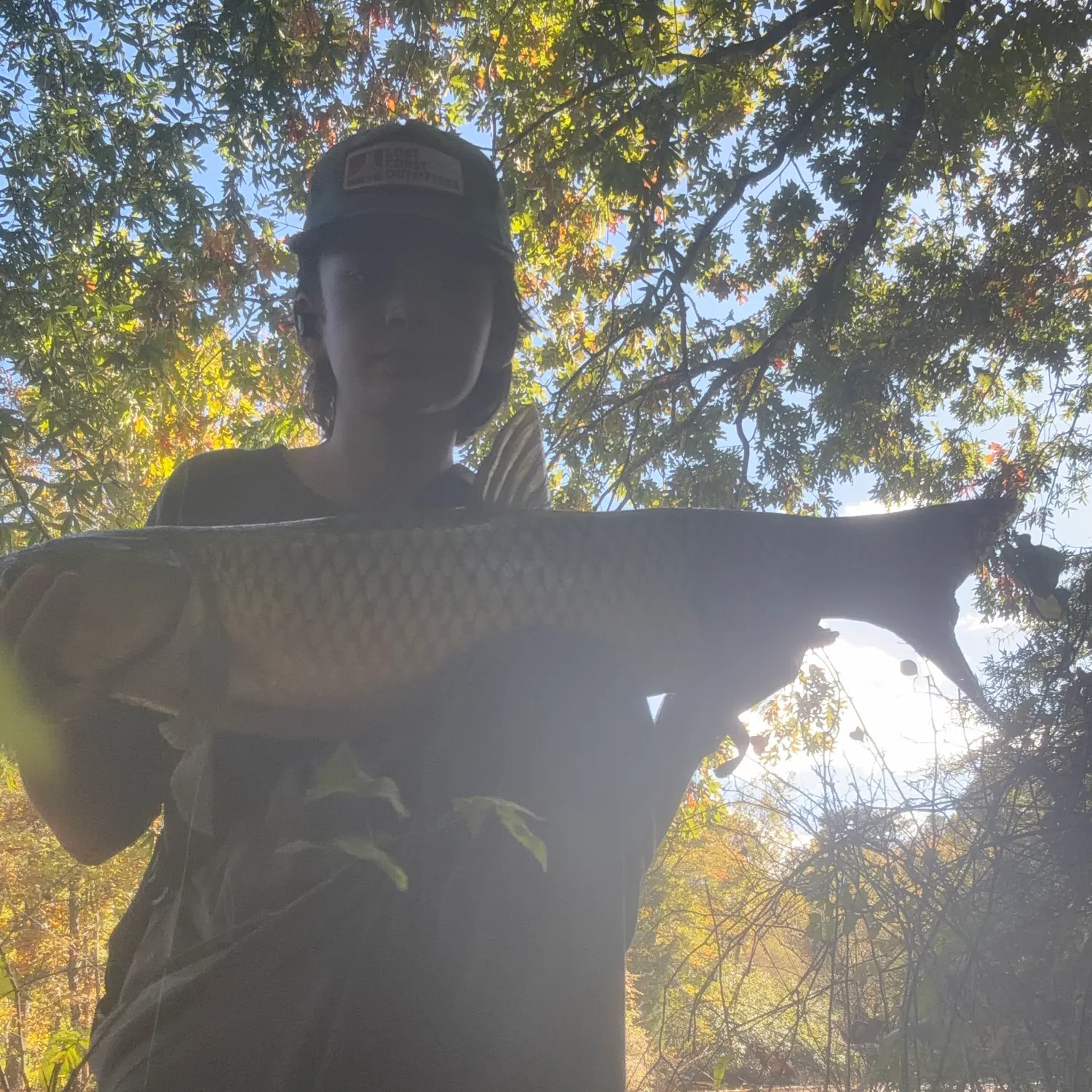 Grass carp caught on Fishbrain