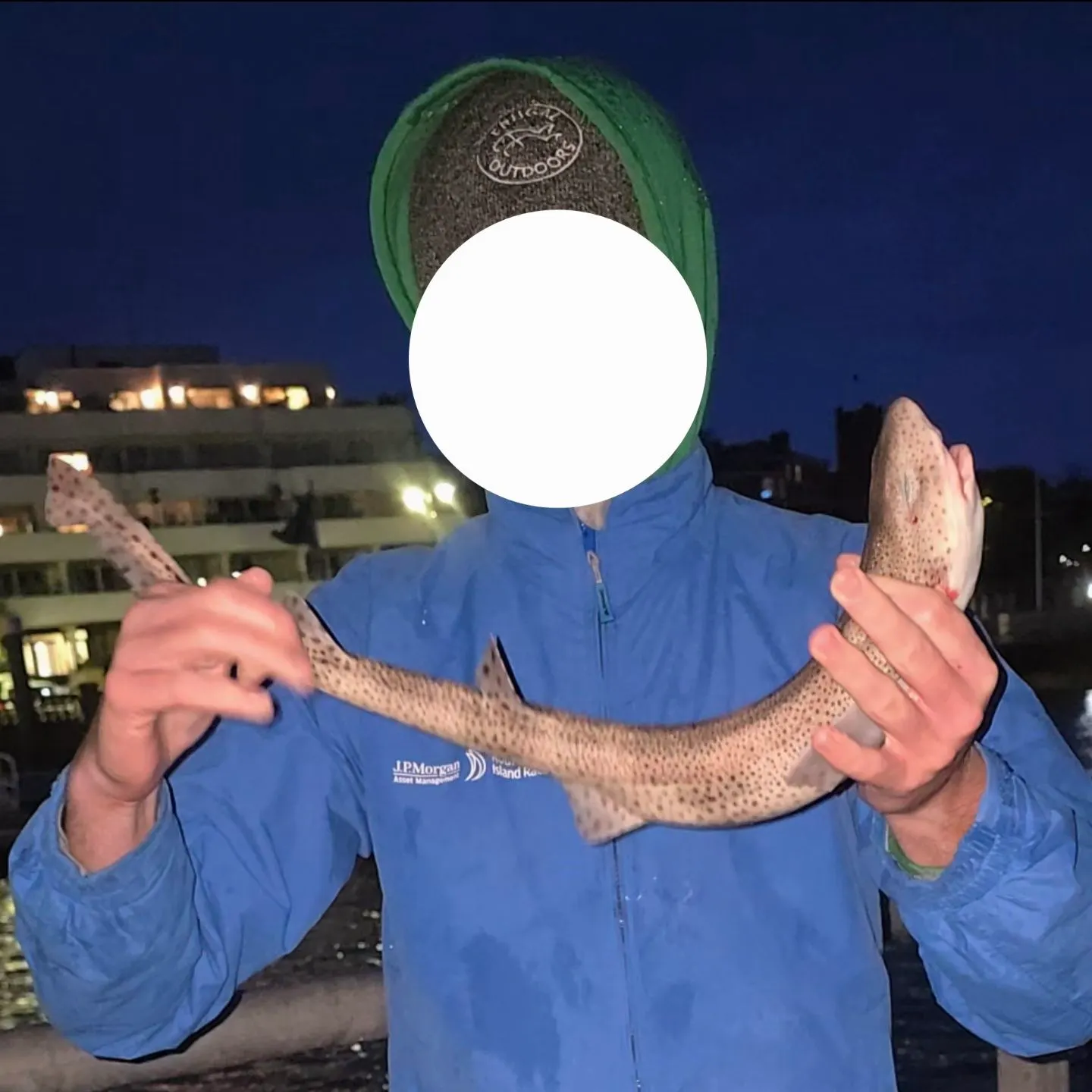 The most recent Nursehound catches on Fishbrain