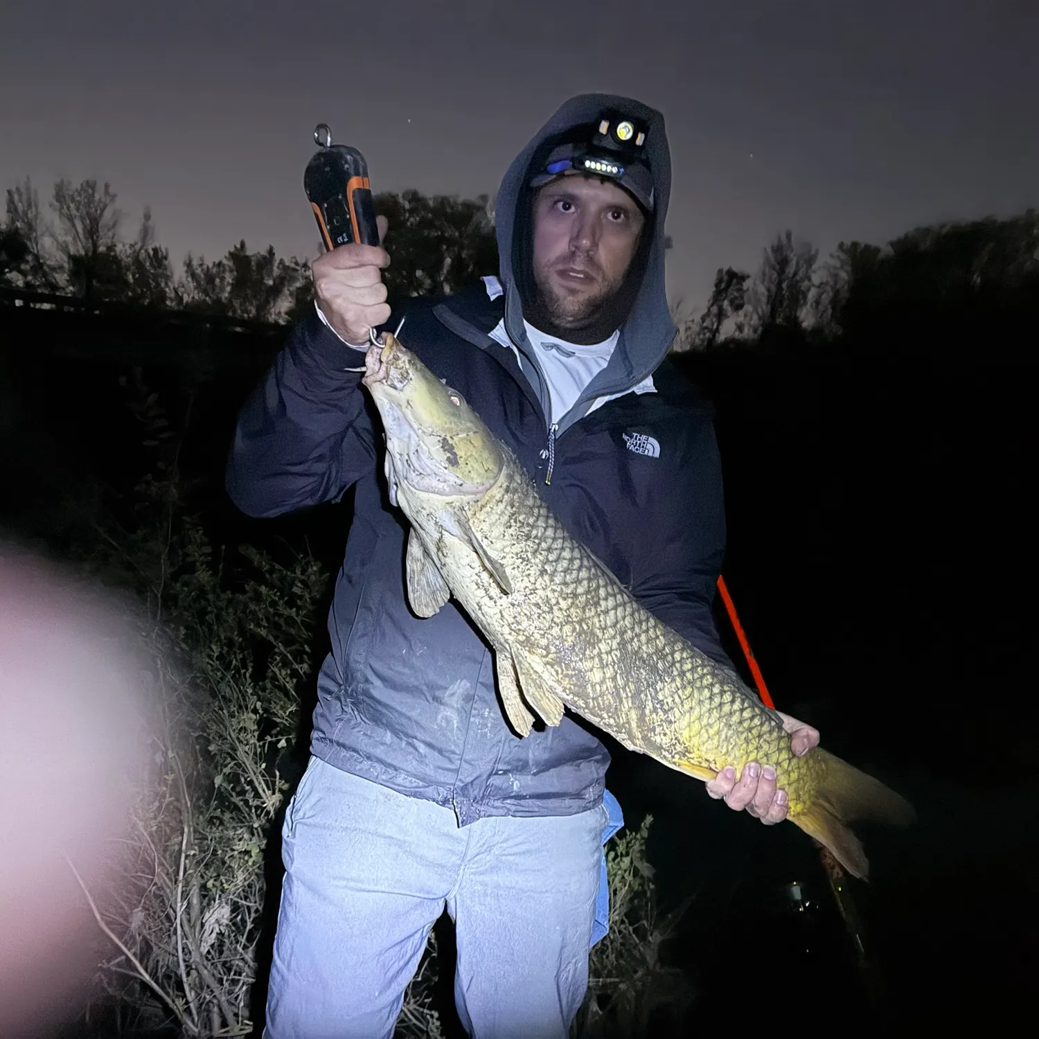 Grass carp caught on Fishbrain