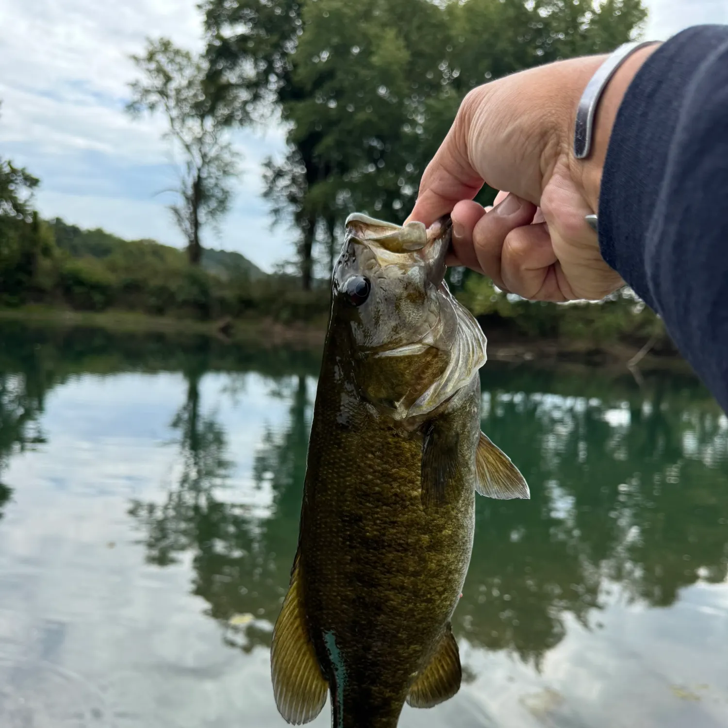 Smallmouth bass caught on Fishbrain