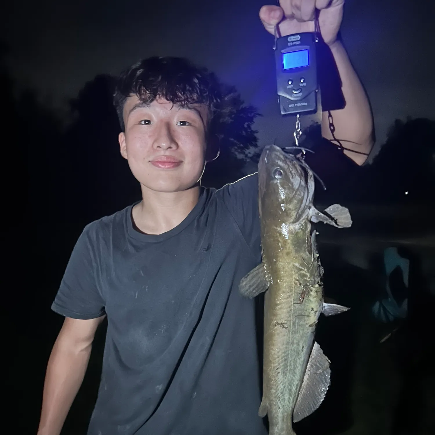 Channel catfish caught on Fishbrain