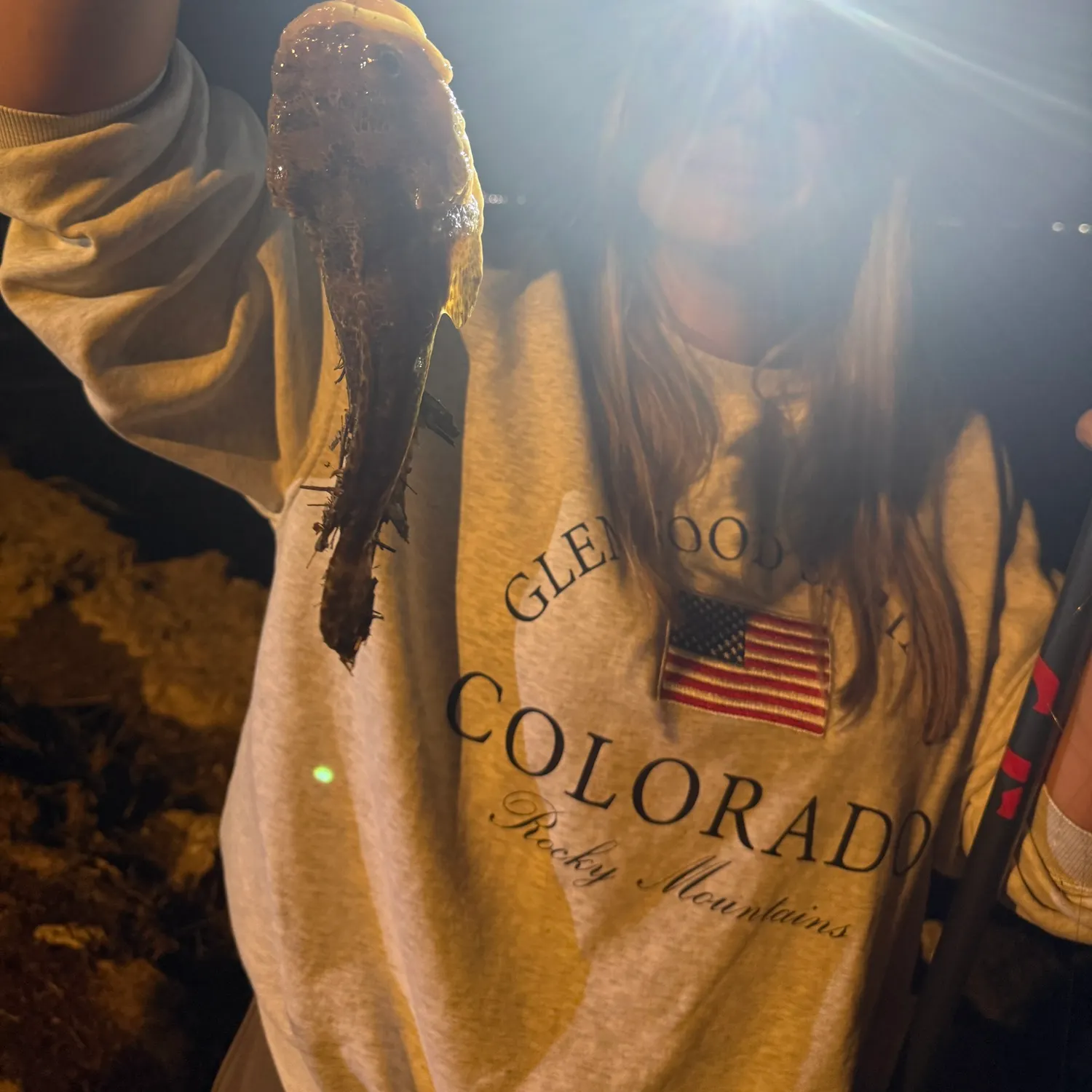 The most recent Atlantic stargazer catches on Fishbrain