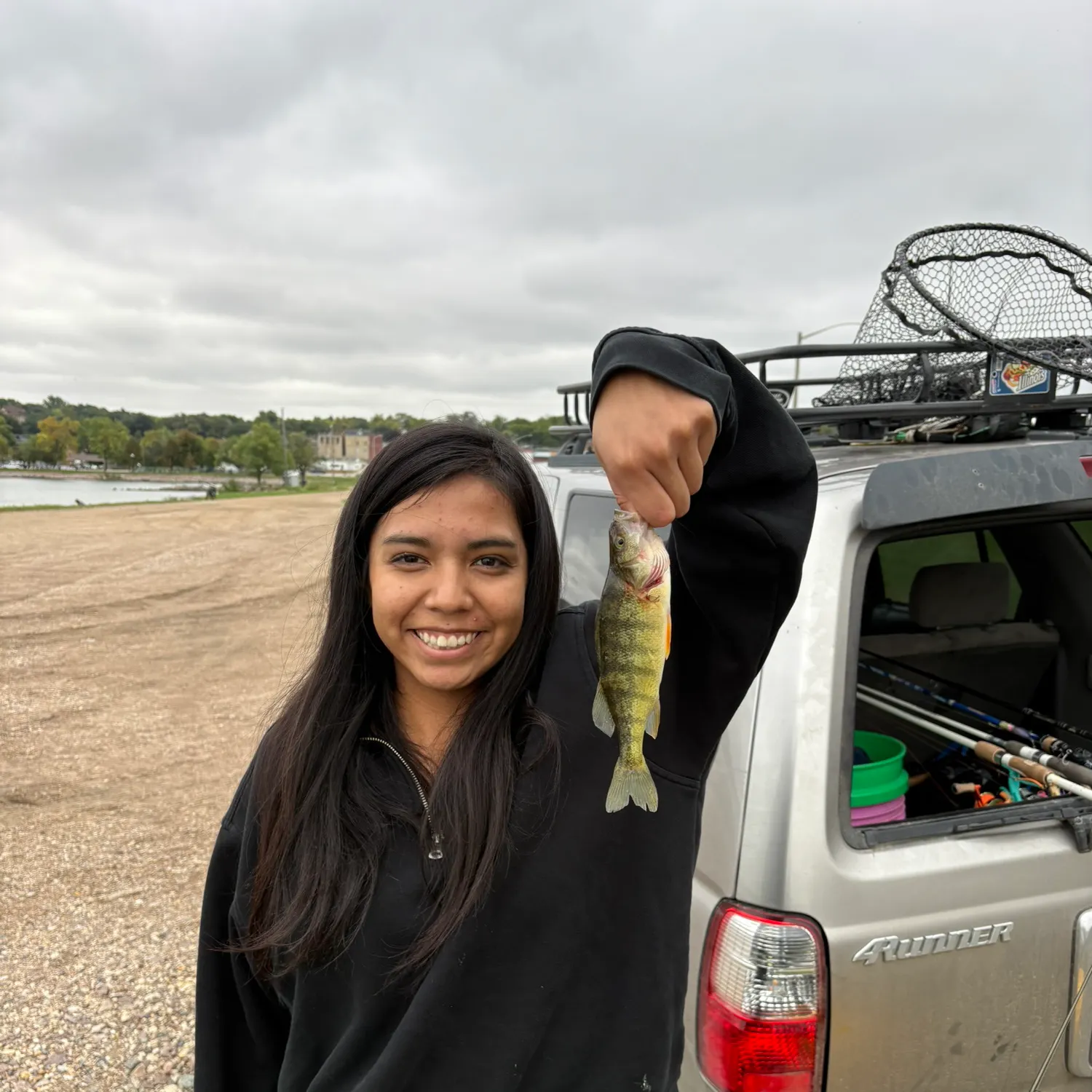 Yellow perch caught on Fishbrain